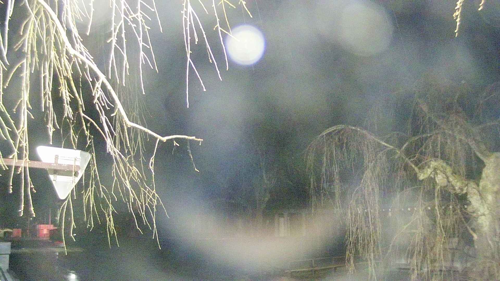 area1-20250414033016.jpg