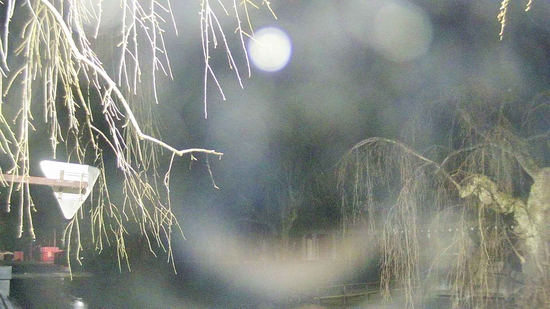 area1-20250414034015.jpg
