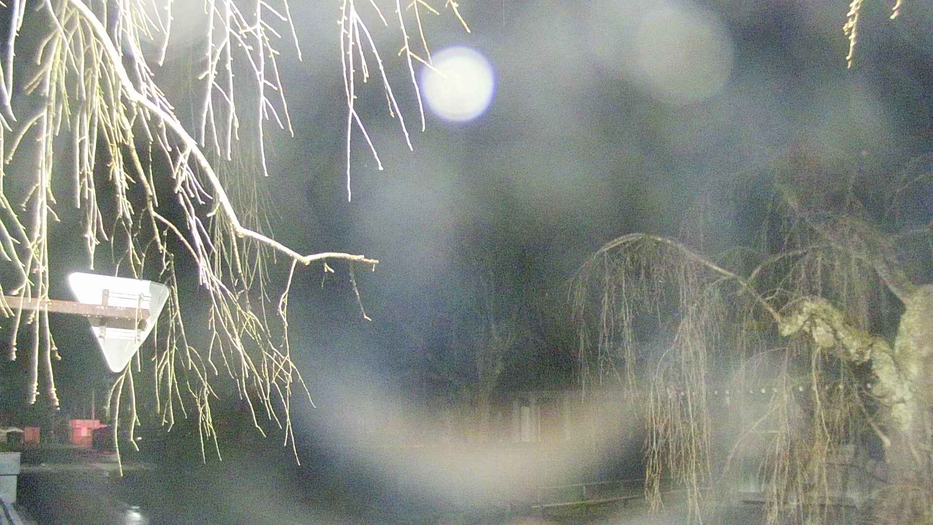area1-20250414035016.jpg