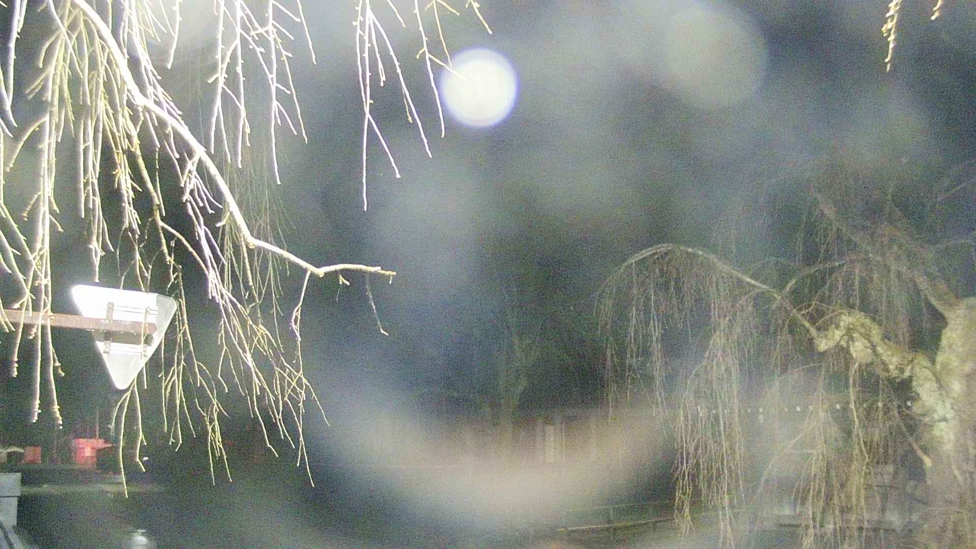 area1-20250414040016.jpg