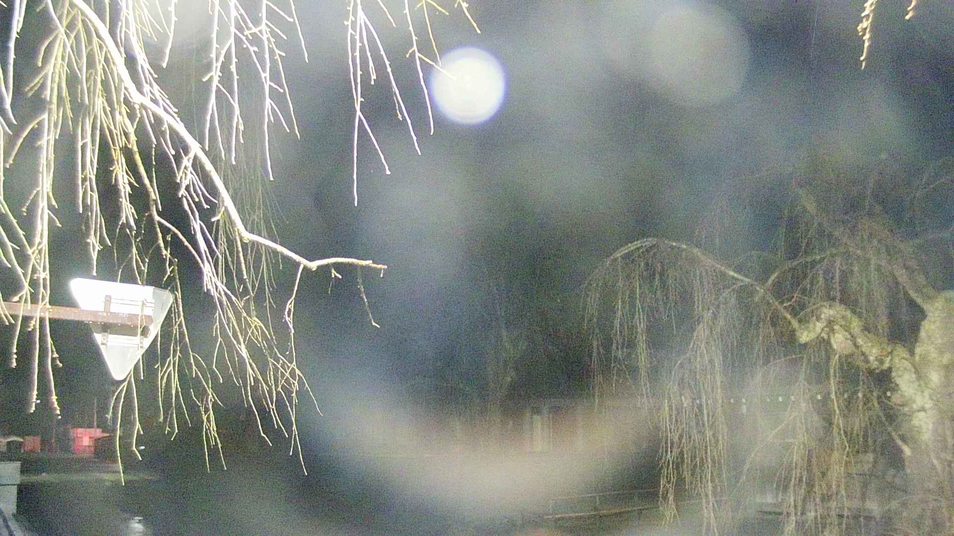 area1-20250414041016.jpg
