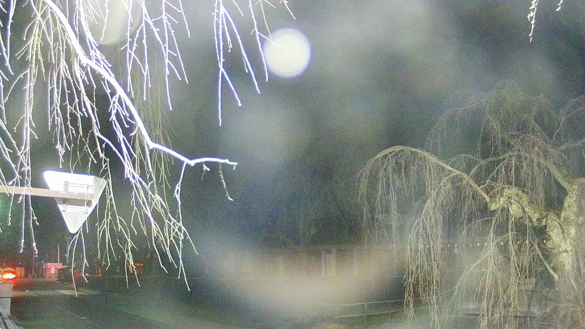 area1-20250414193016.jpg