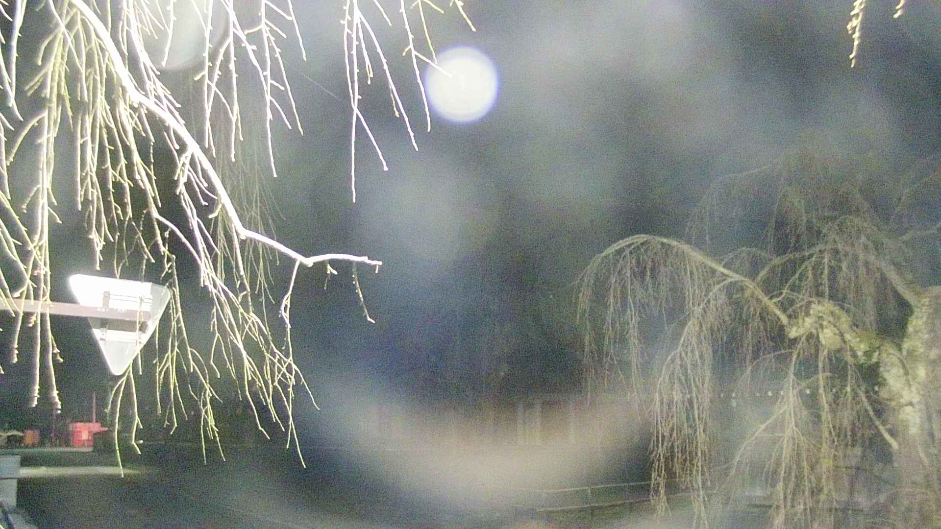 area1-20250415012016.jpg