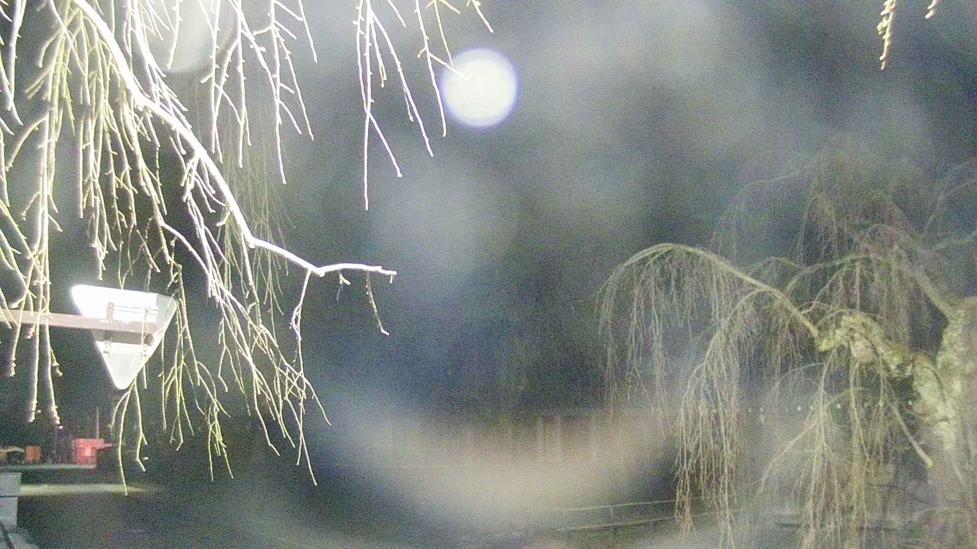 area1-20250415014016.jpg