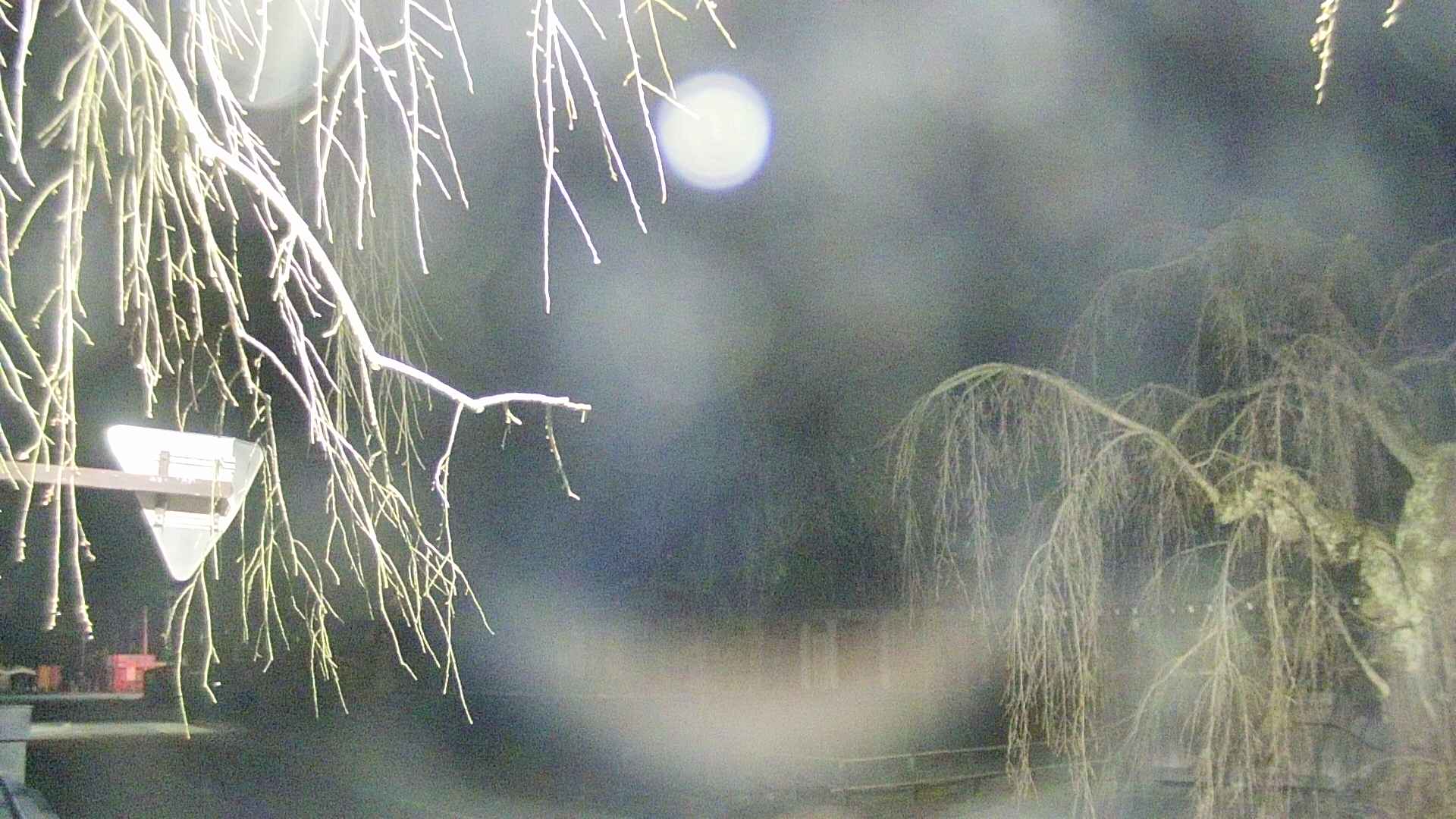area1-20250415025016.jpg
