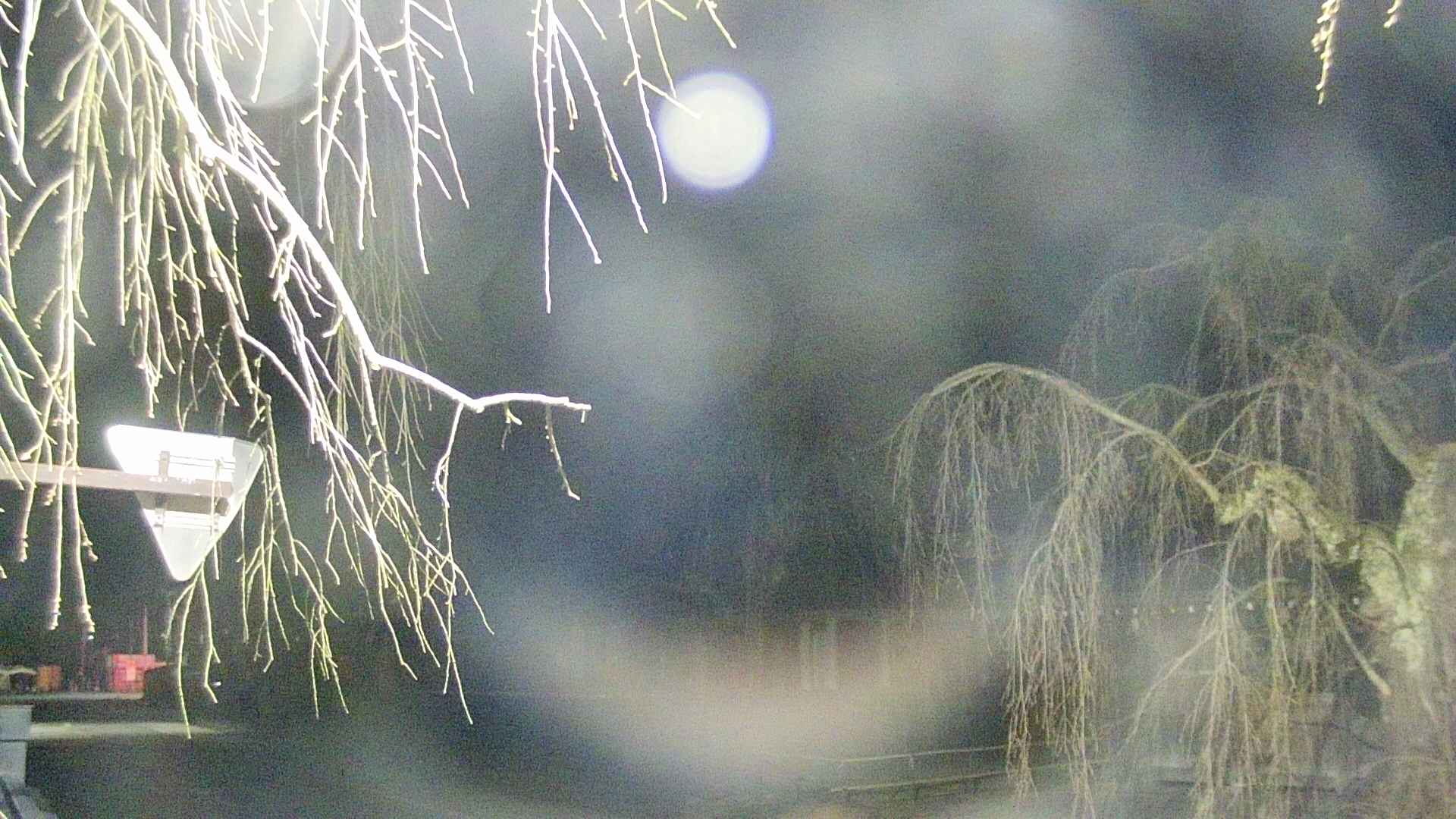 area1-20250415030016.jpg