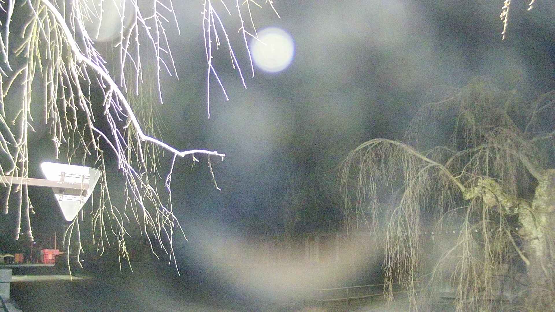 area1-20250415032017.jpg