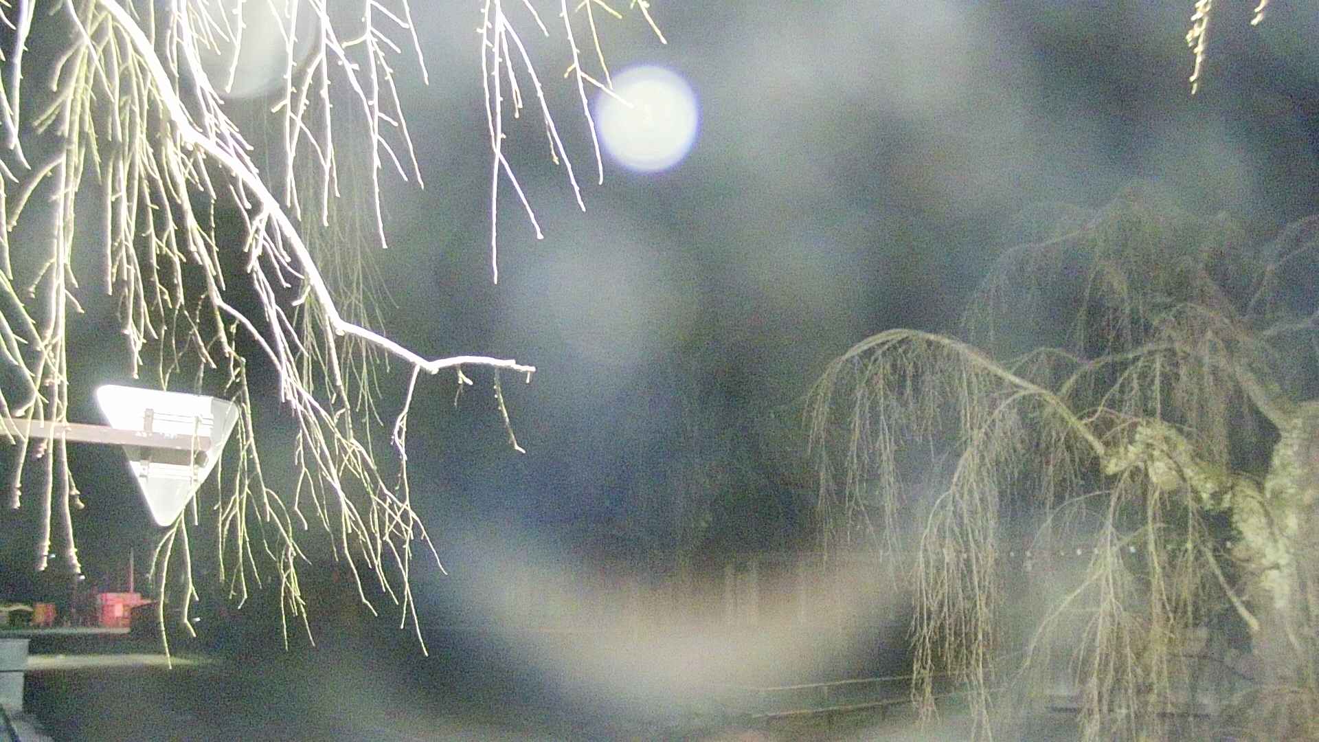 area1-20250415033020.jpg