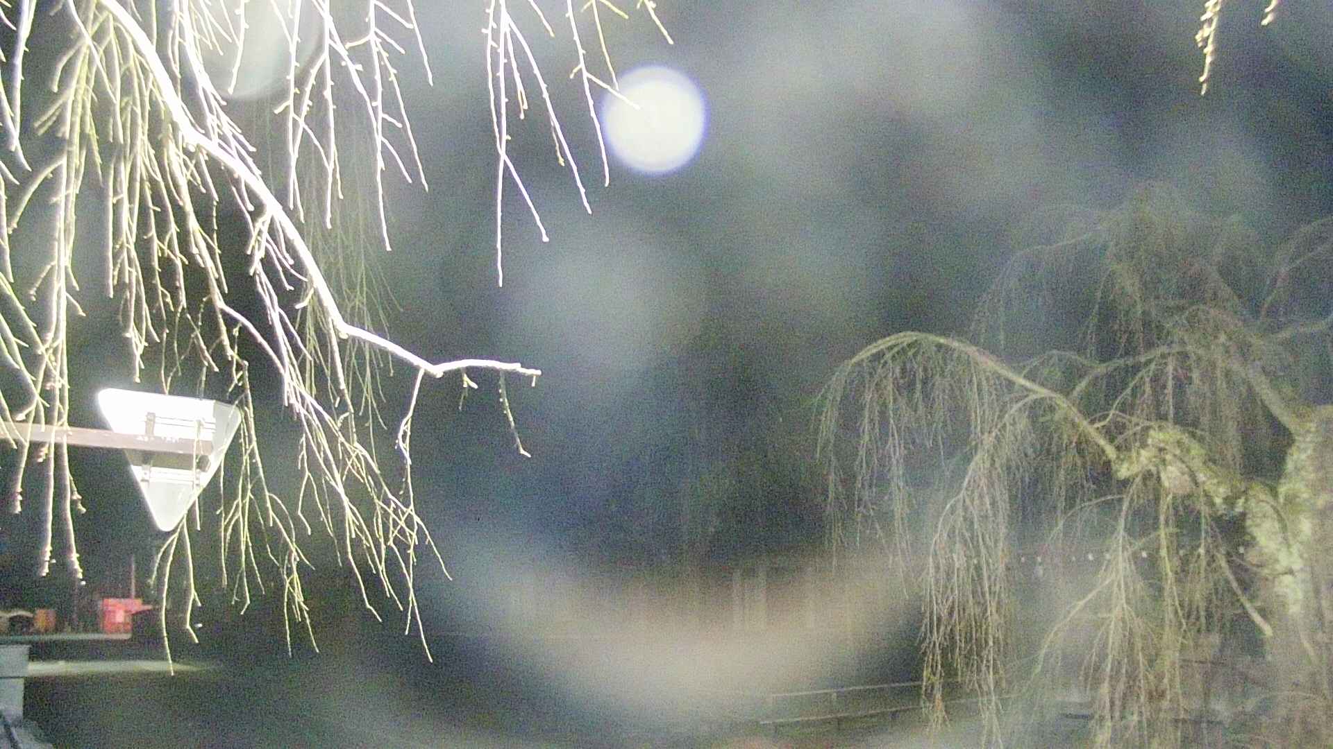 area1-20250415034017.jpg