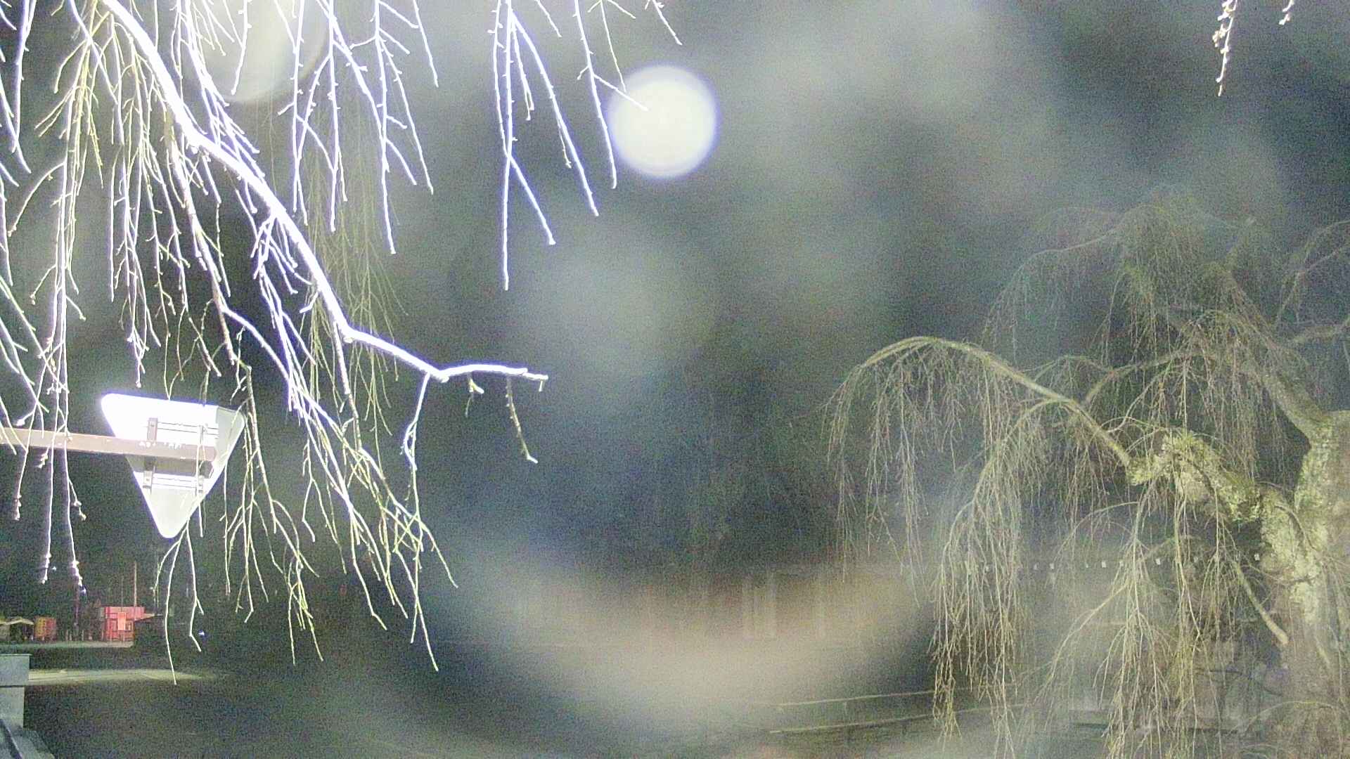 area1-20250415040017.jpg