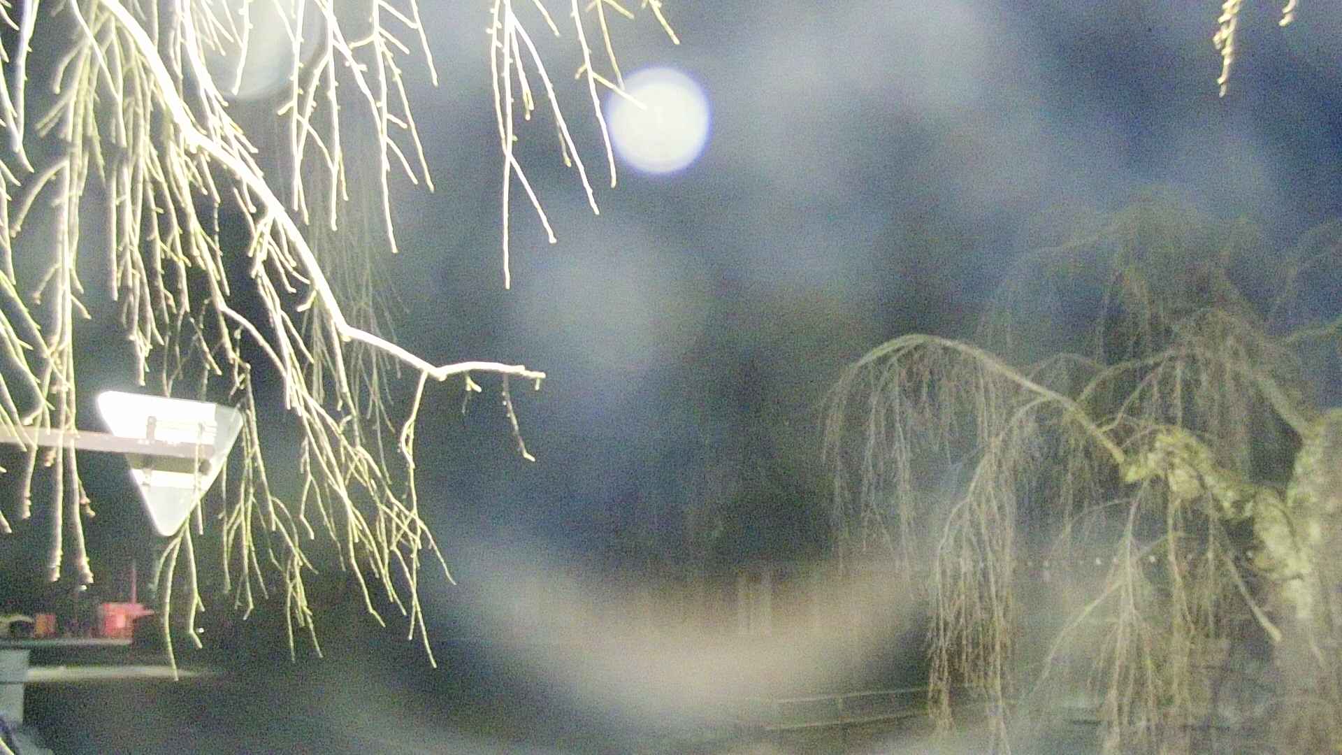 area1-20250415042017.jpg
