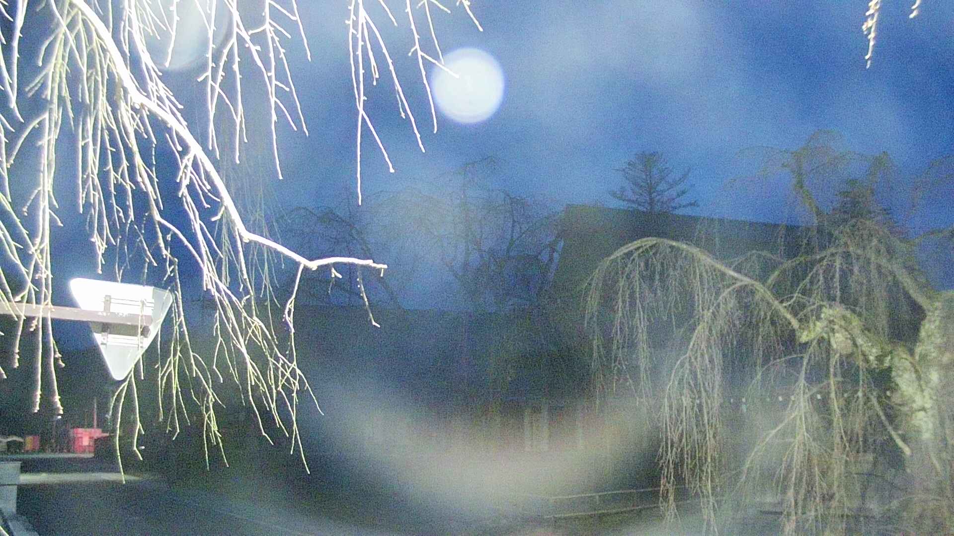 area1-20250415043017.jpg