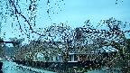 area1-20250415052015.jpg