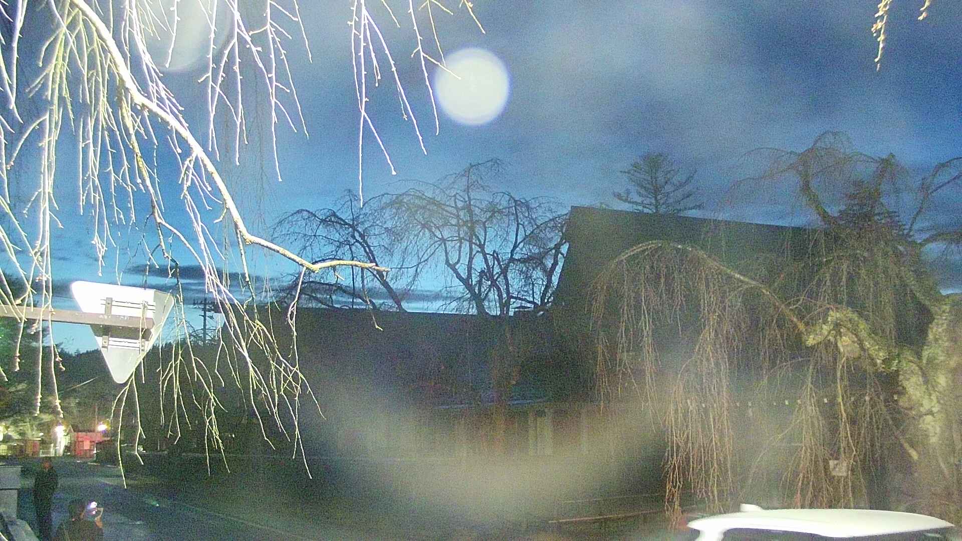 area1-20250415190015.jpg