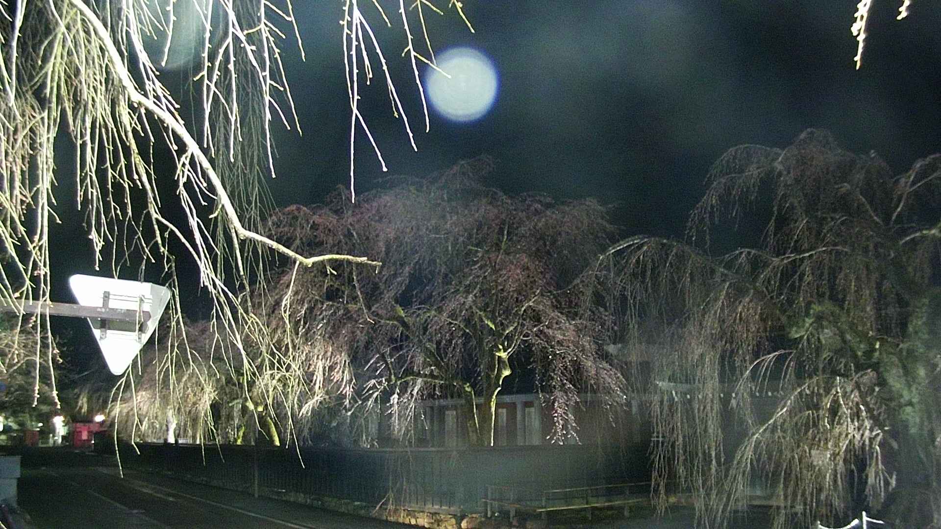 area1-20250415193016.jpg