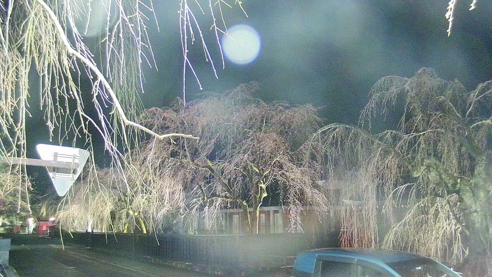 area1-20250415212016.jpg