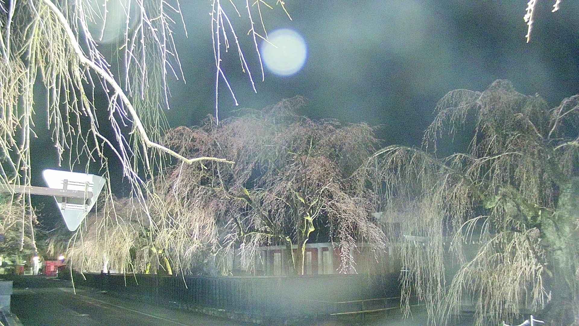 area1-20250415215016.jpg