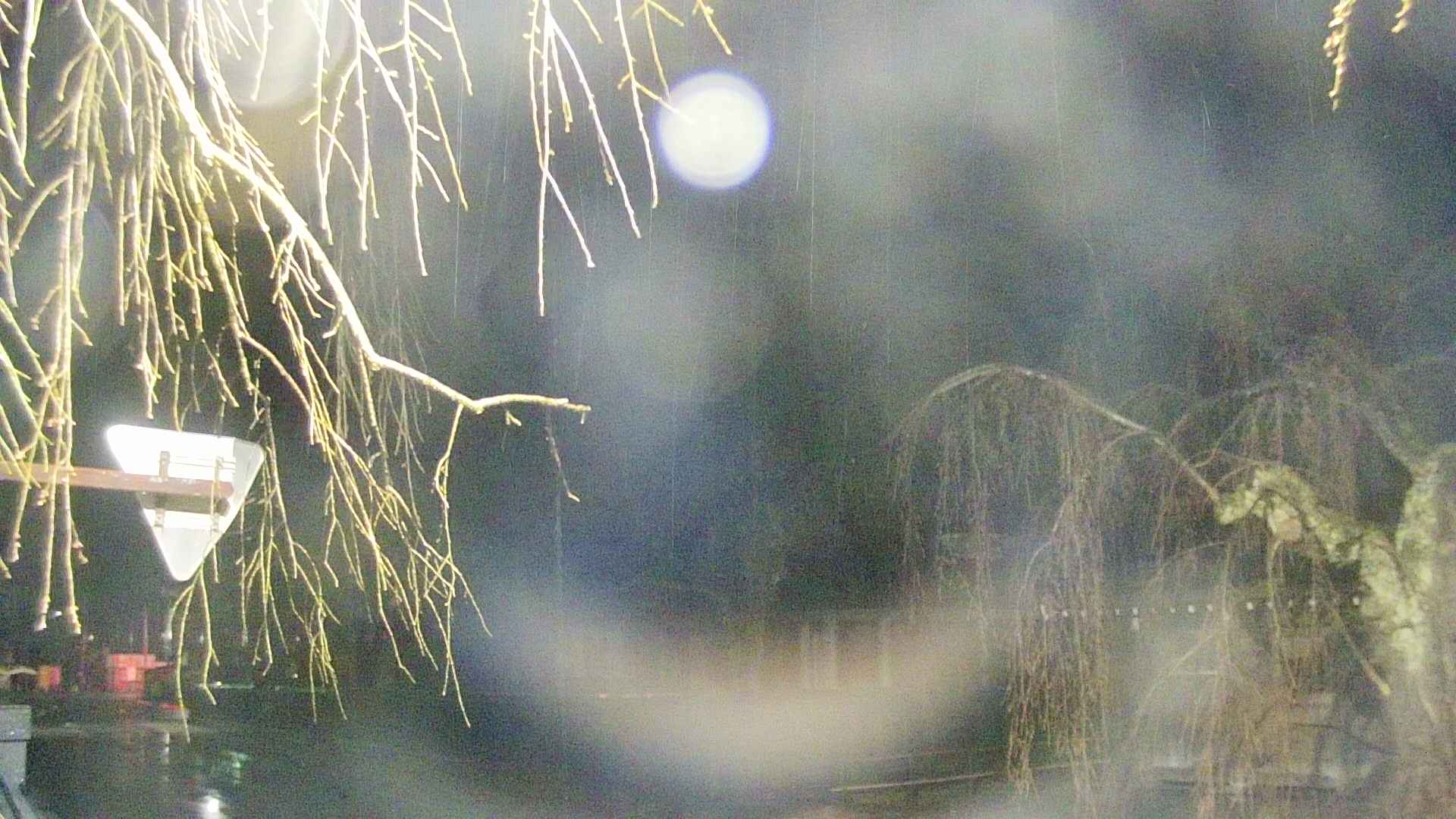 area1-20250416012016.jpg