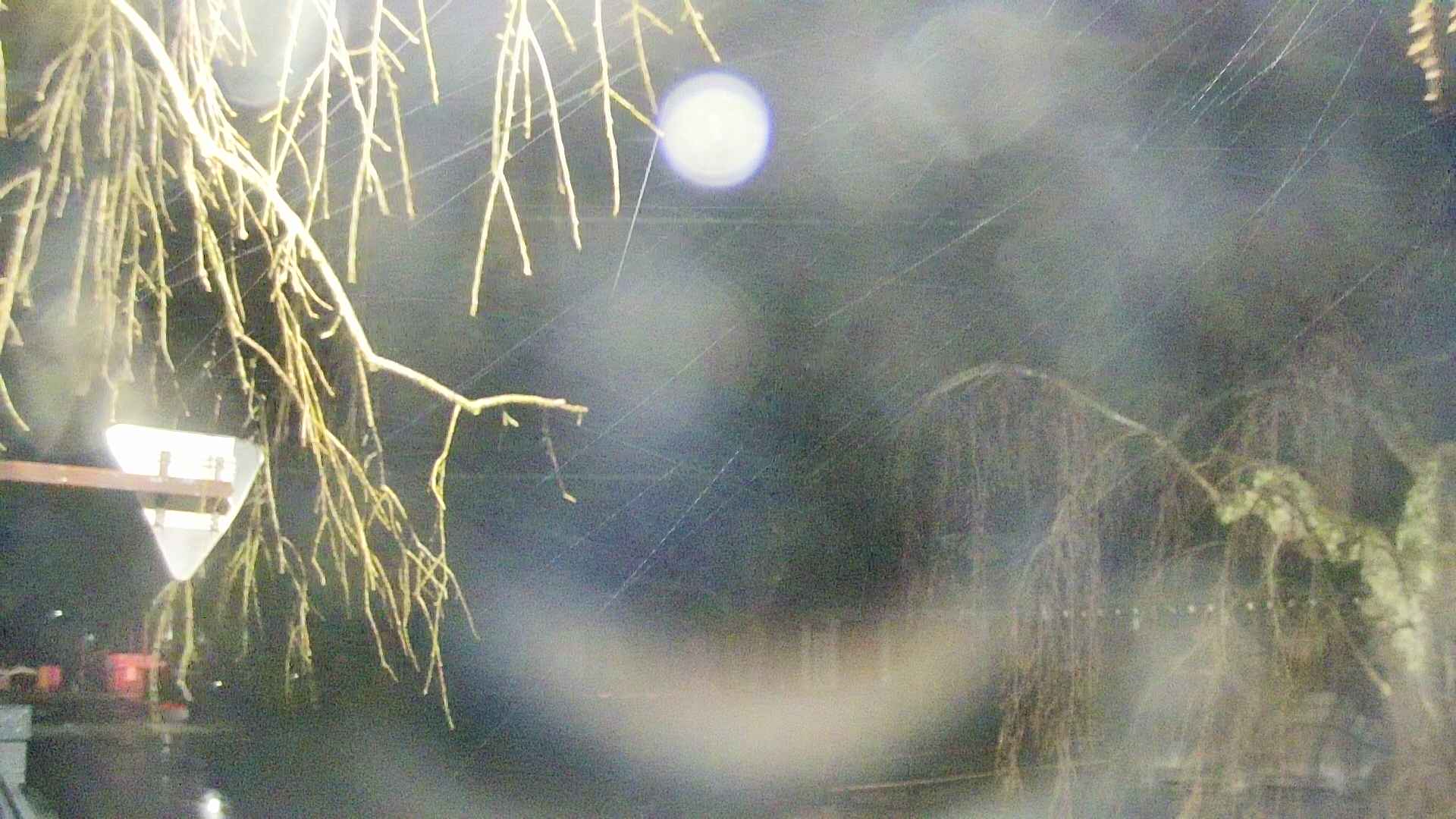 area1-20250416013015.jpg