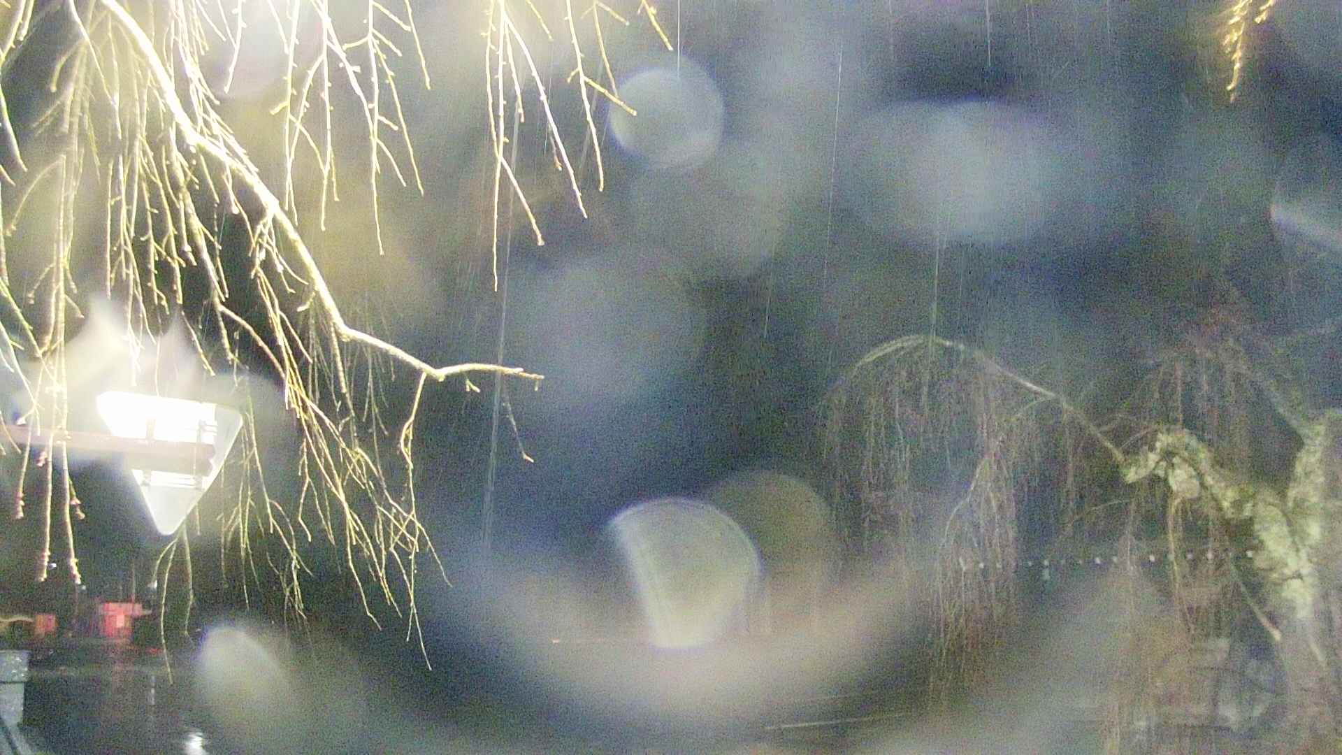 area1-20250416014016.jpg