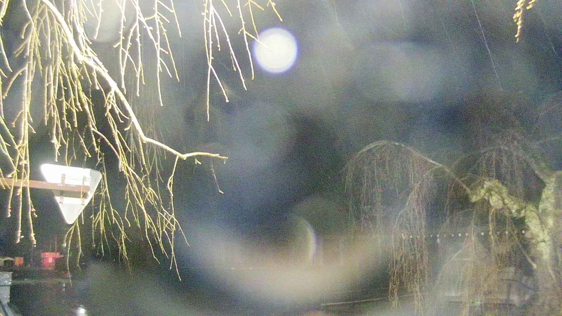 area1-20250416015016.jpg