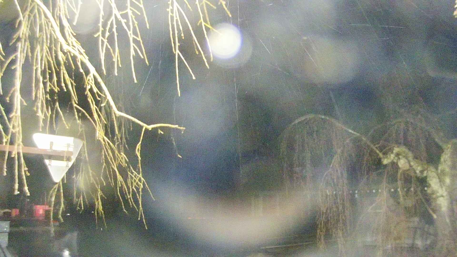 area1-20250416021015.jpg