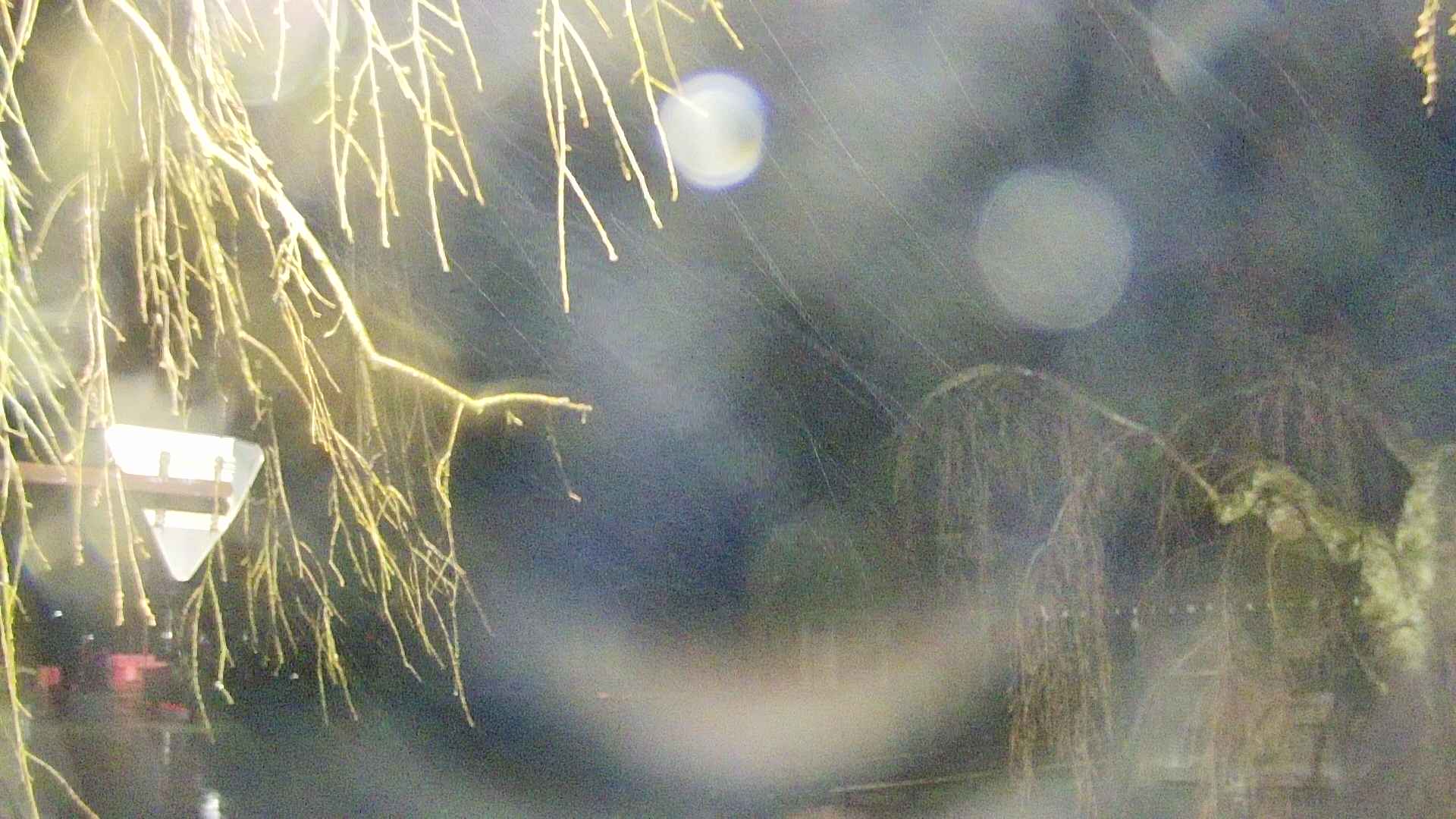 area1-20250416022015.jpg