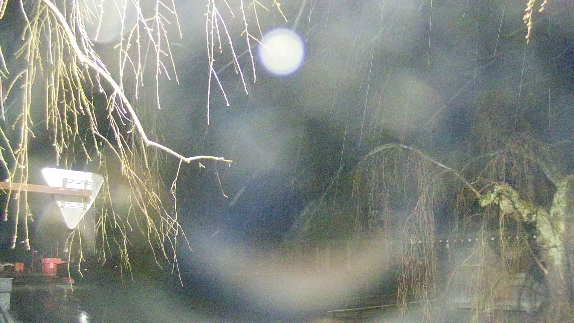 area1-20250416025014.jpg