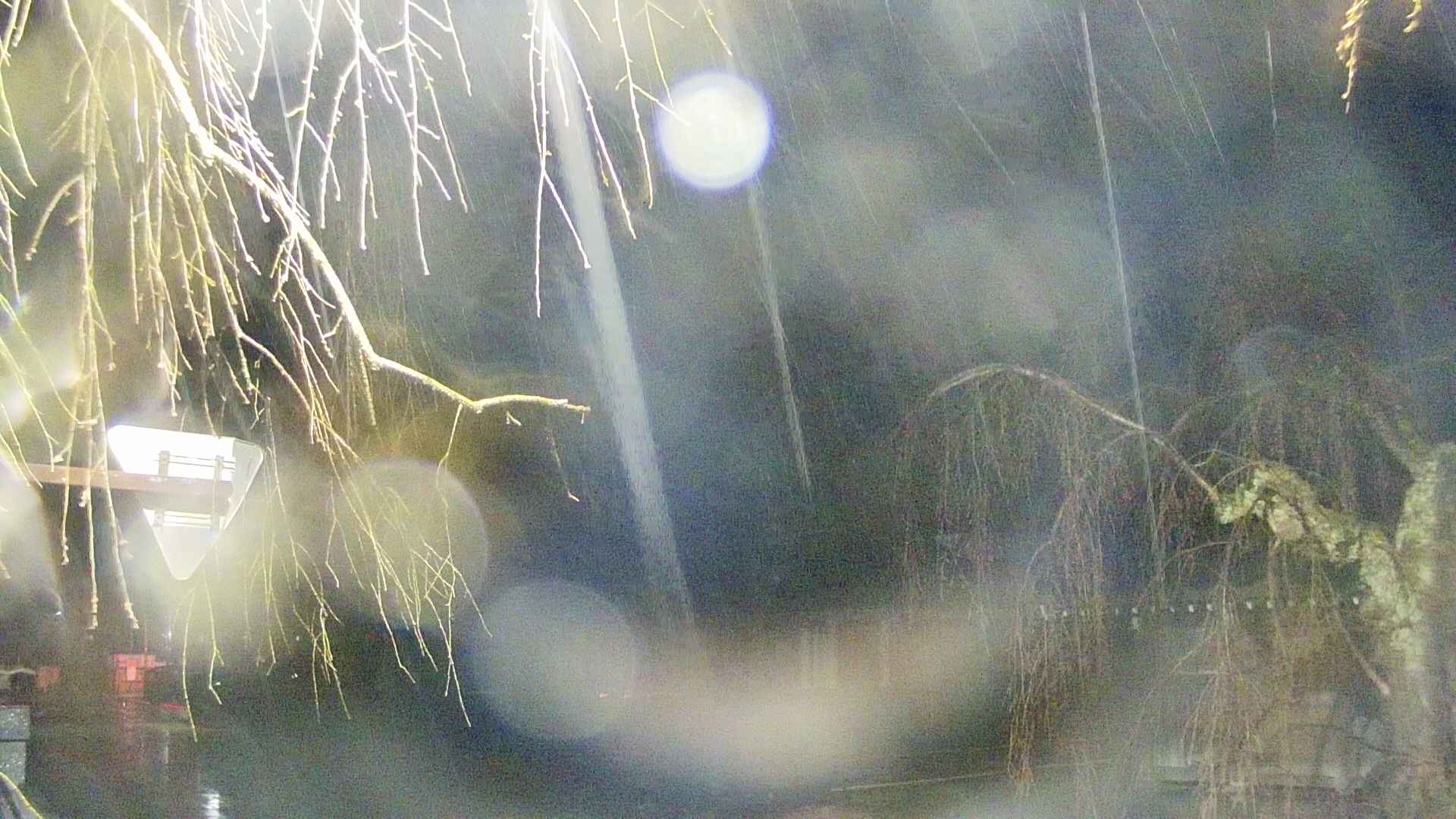 area1-20250416032015.jpg