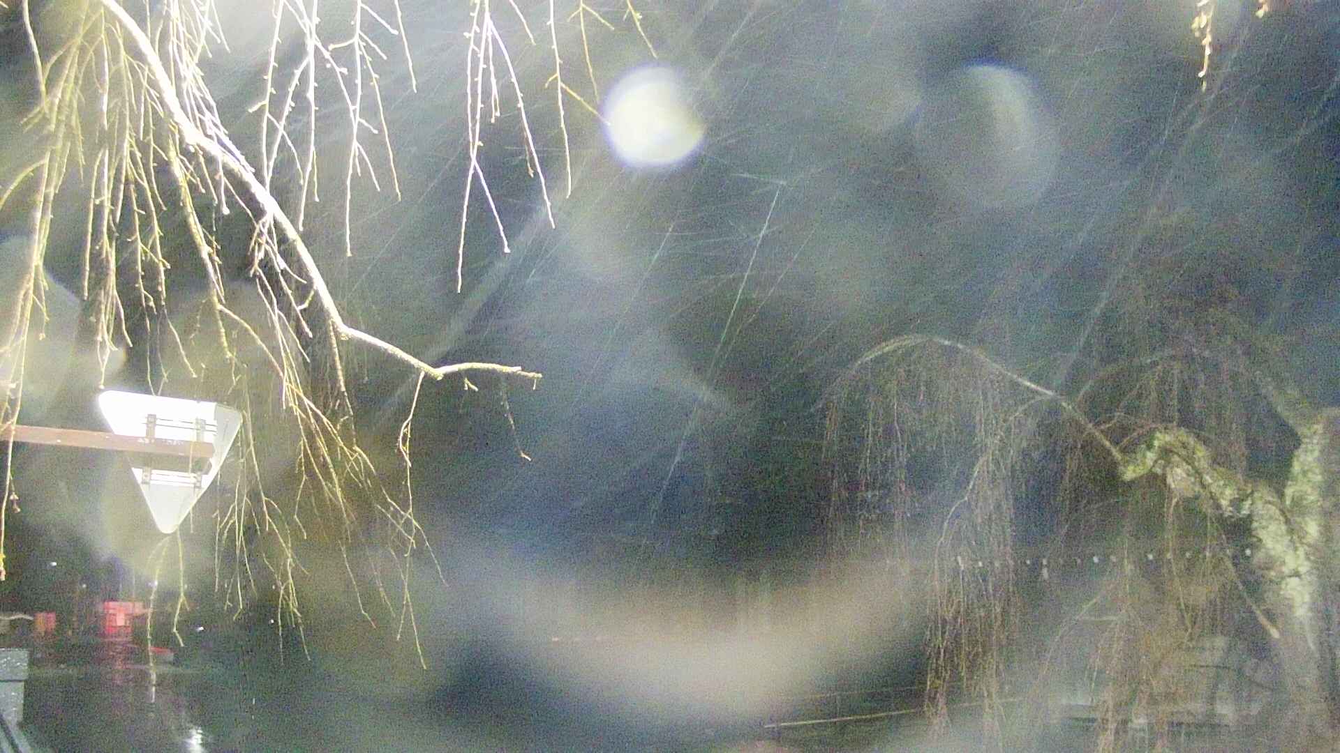 area1-20250416040015.jpg