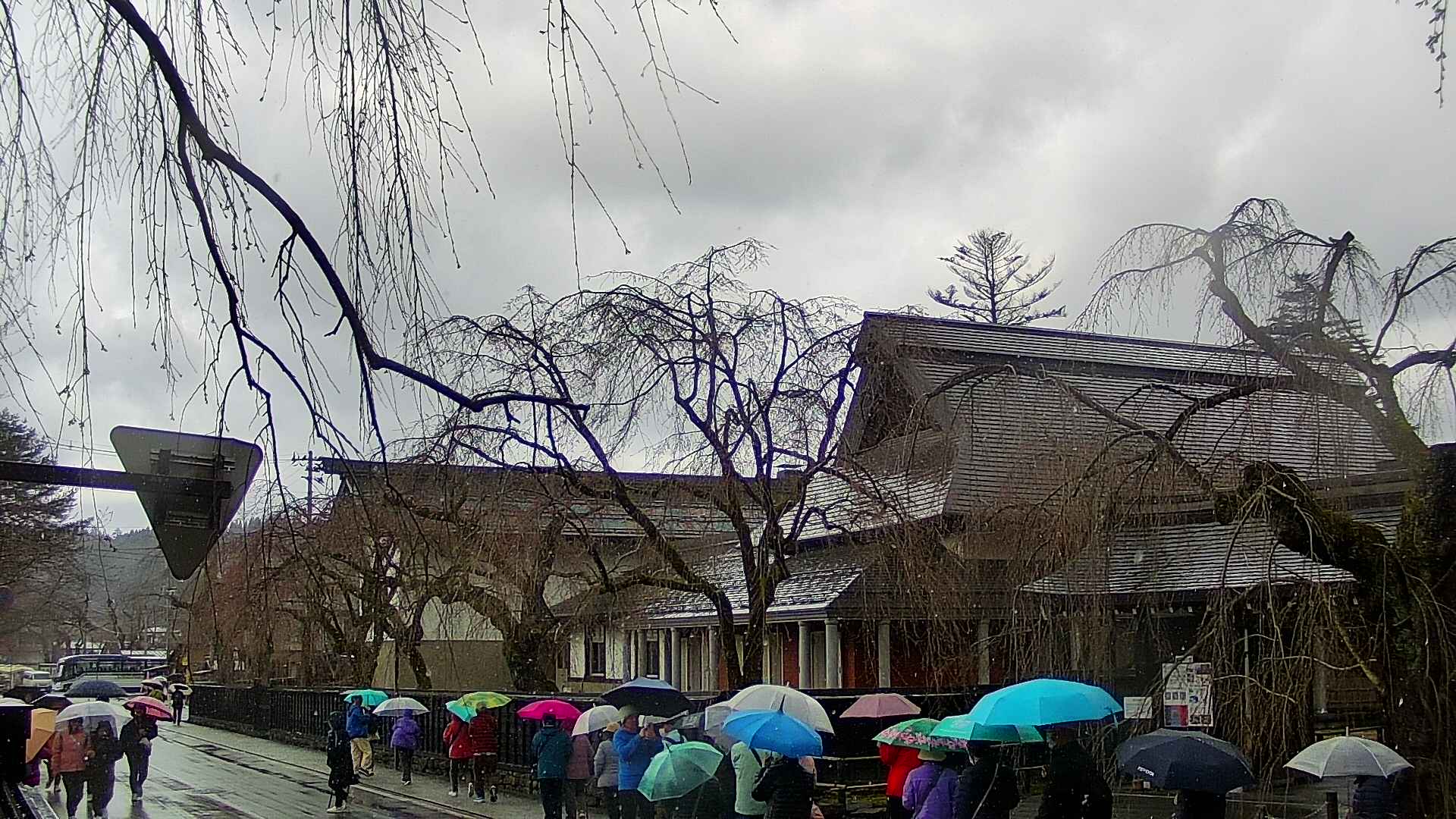 area1-20250416121016.jpg