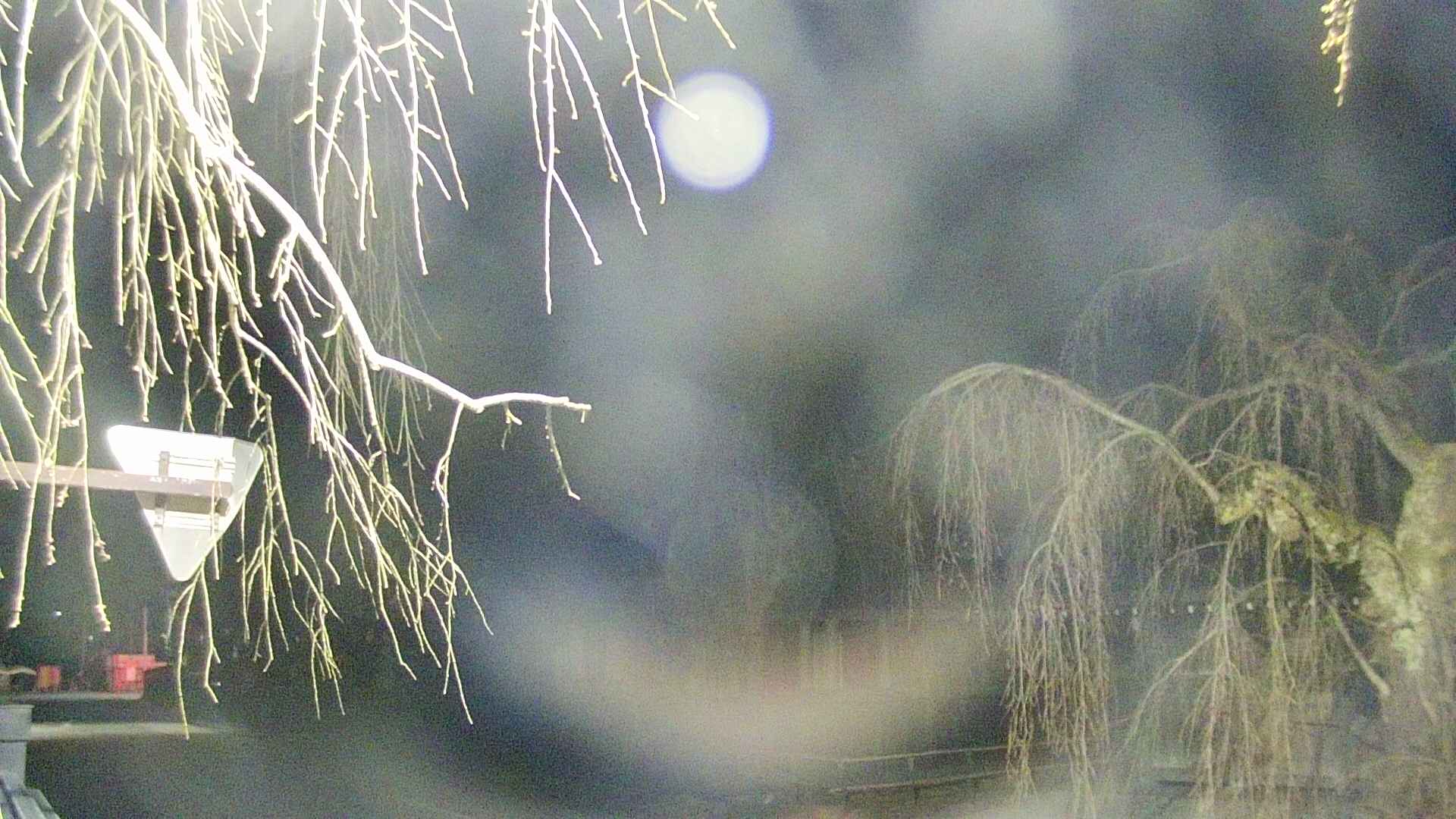 area1-20250417015017.jpg