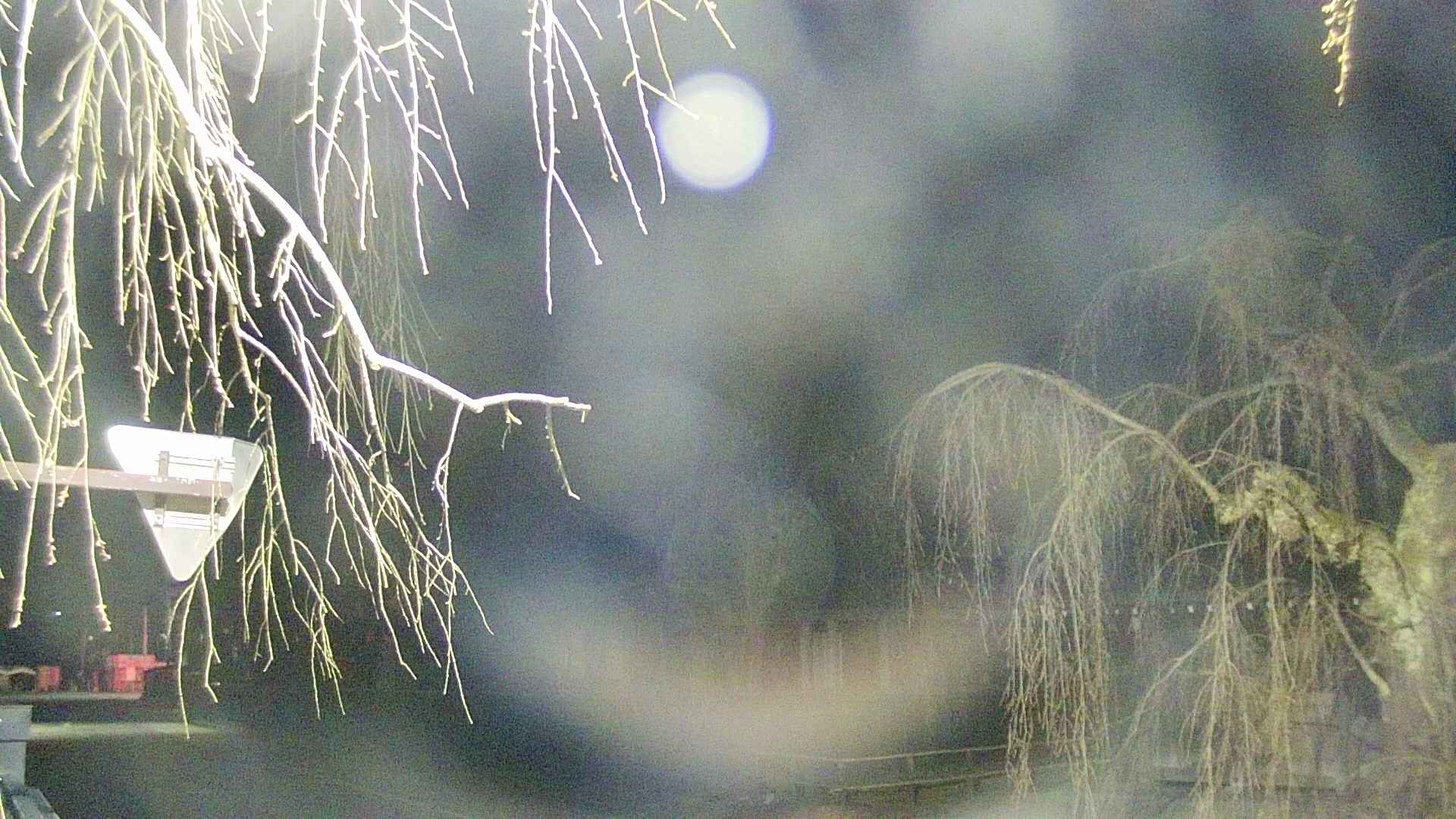 area1-20250417030015.jpg