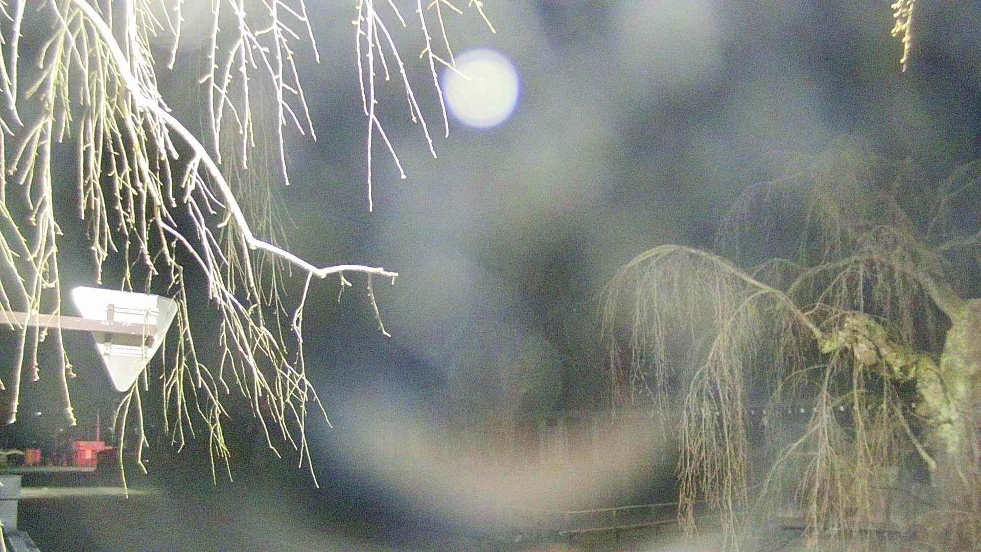 area1-20250417032016.jpg