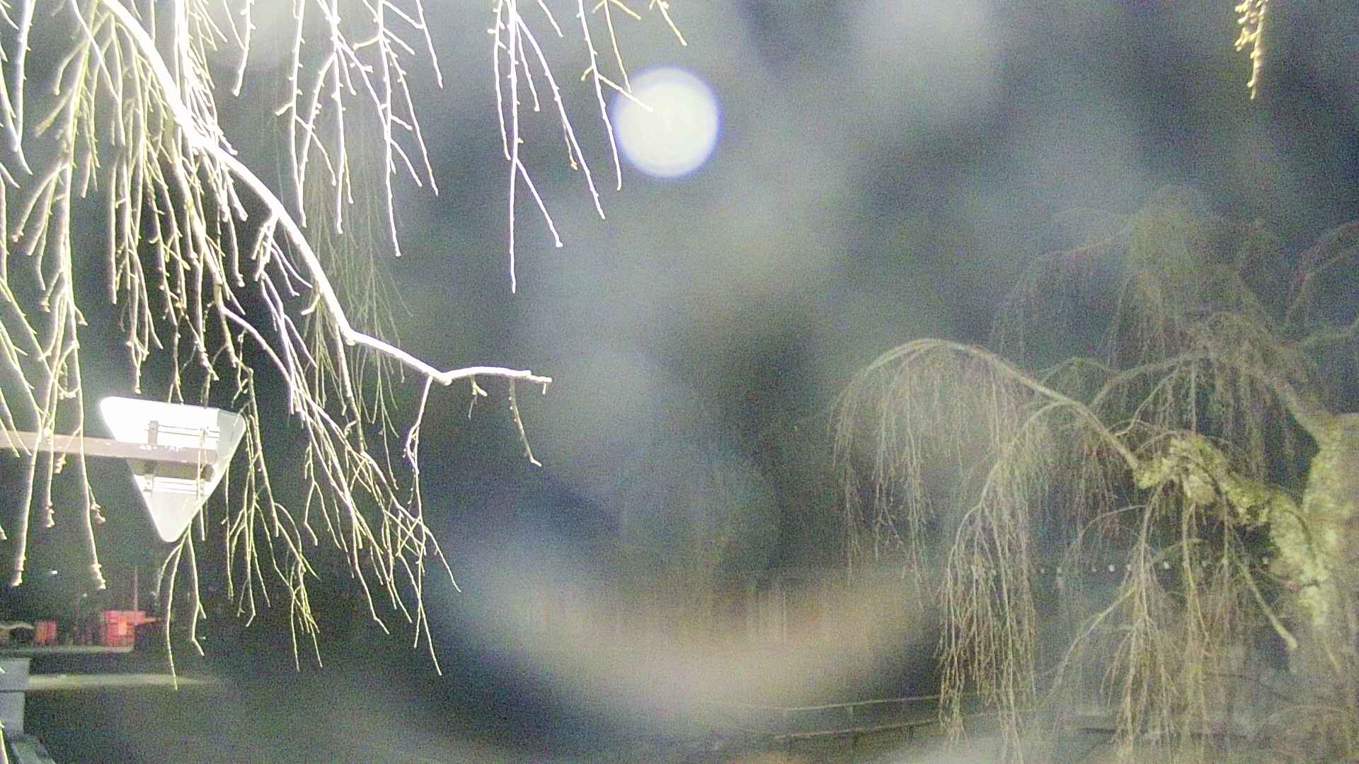 area1-20250417033016.jpg