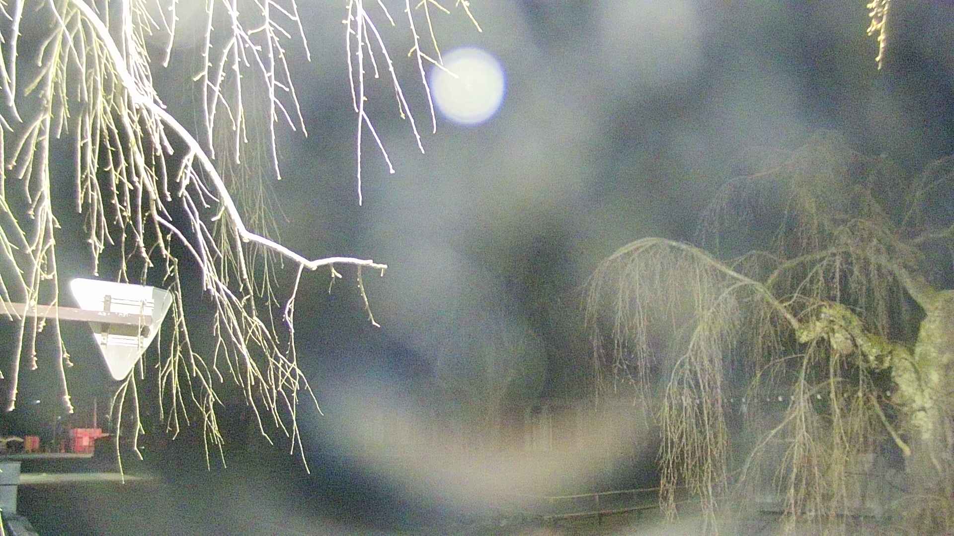 area1-20250417035015.jpg