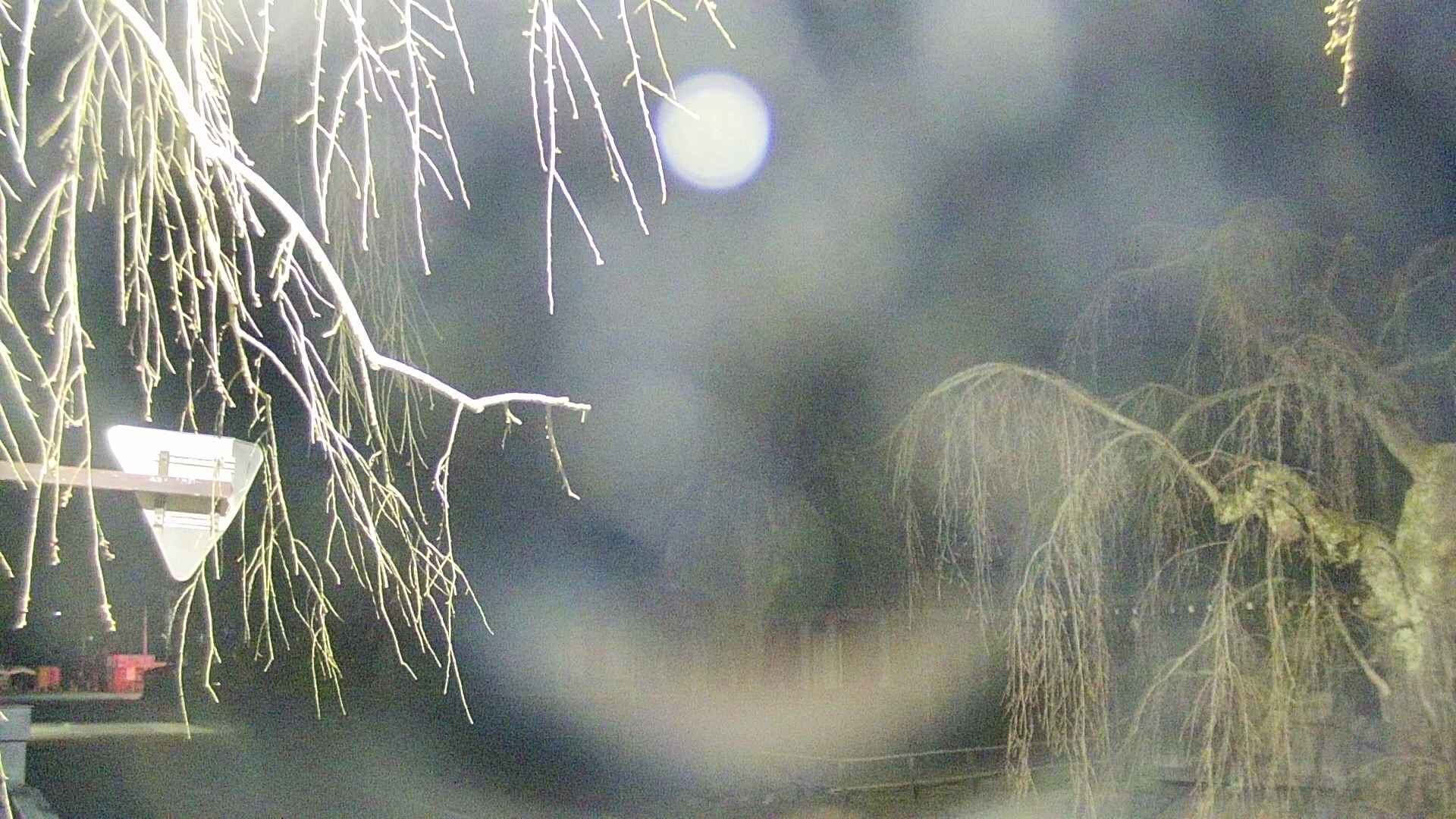area1-20250417040016.jpg
