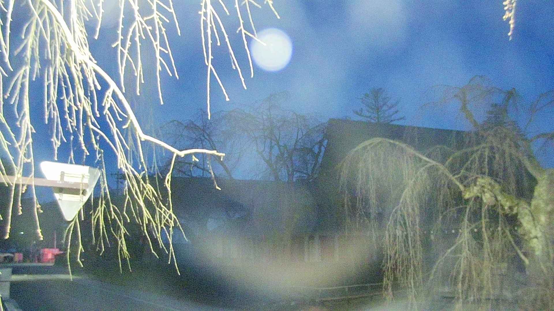 area1-20250417042016.jpg