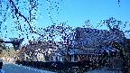 area1-20250417062016.jpg
