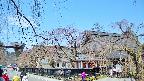 area1-20250417102016.jpg
