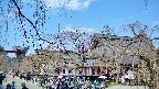 area1-20250417103015.jpg