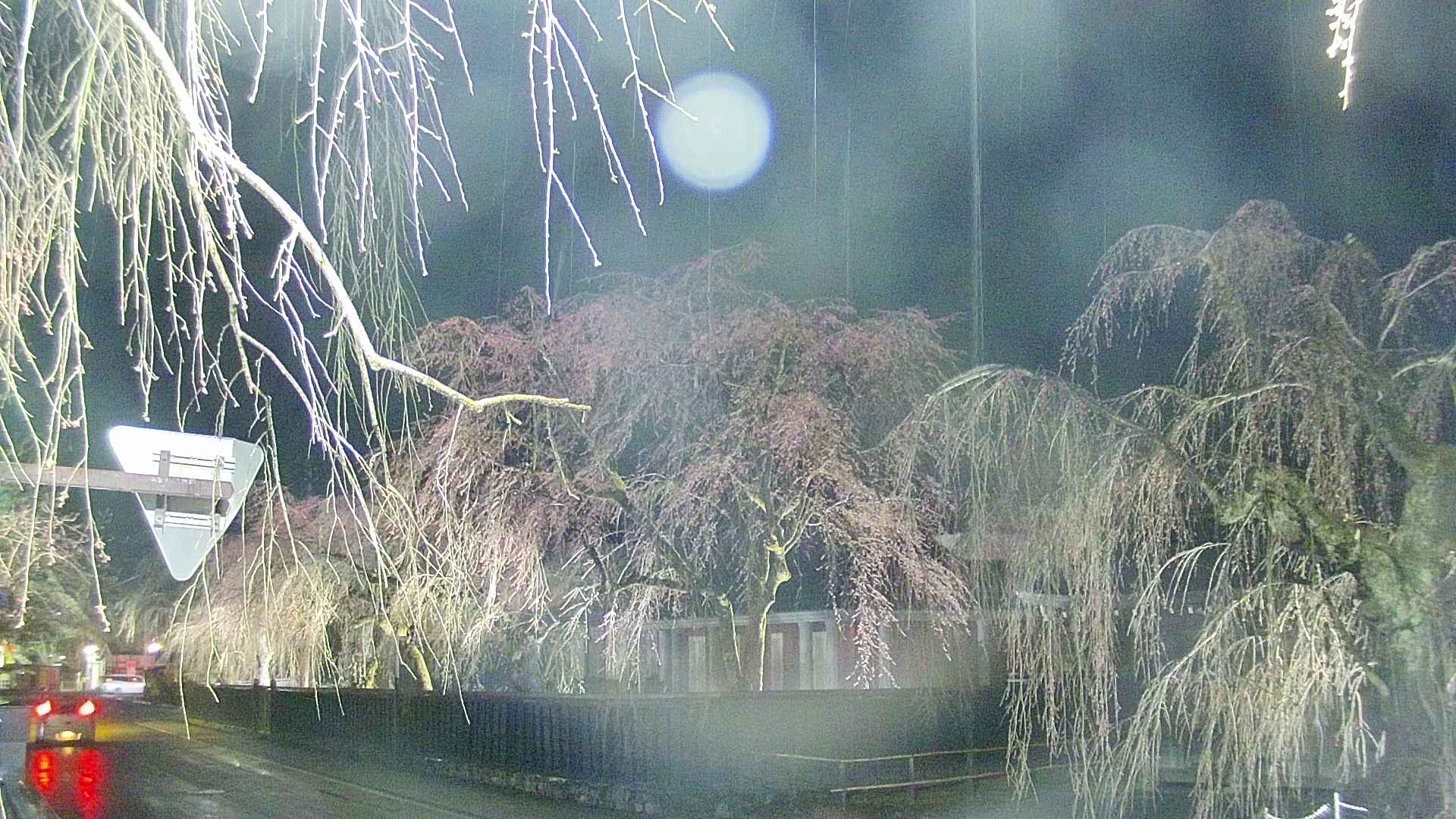 area1-20250417190016.jpg