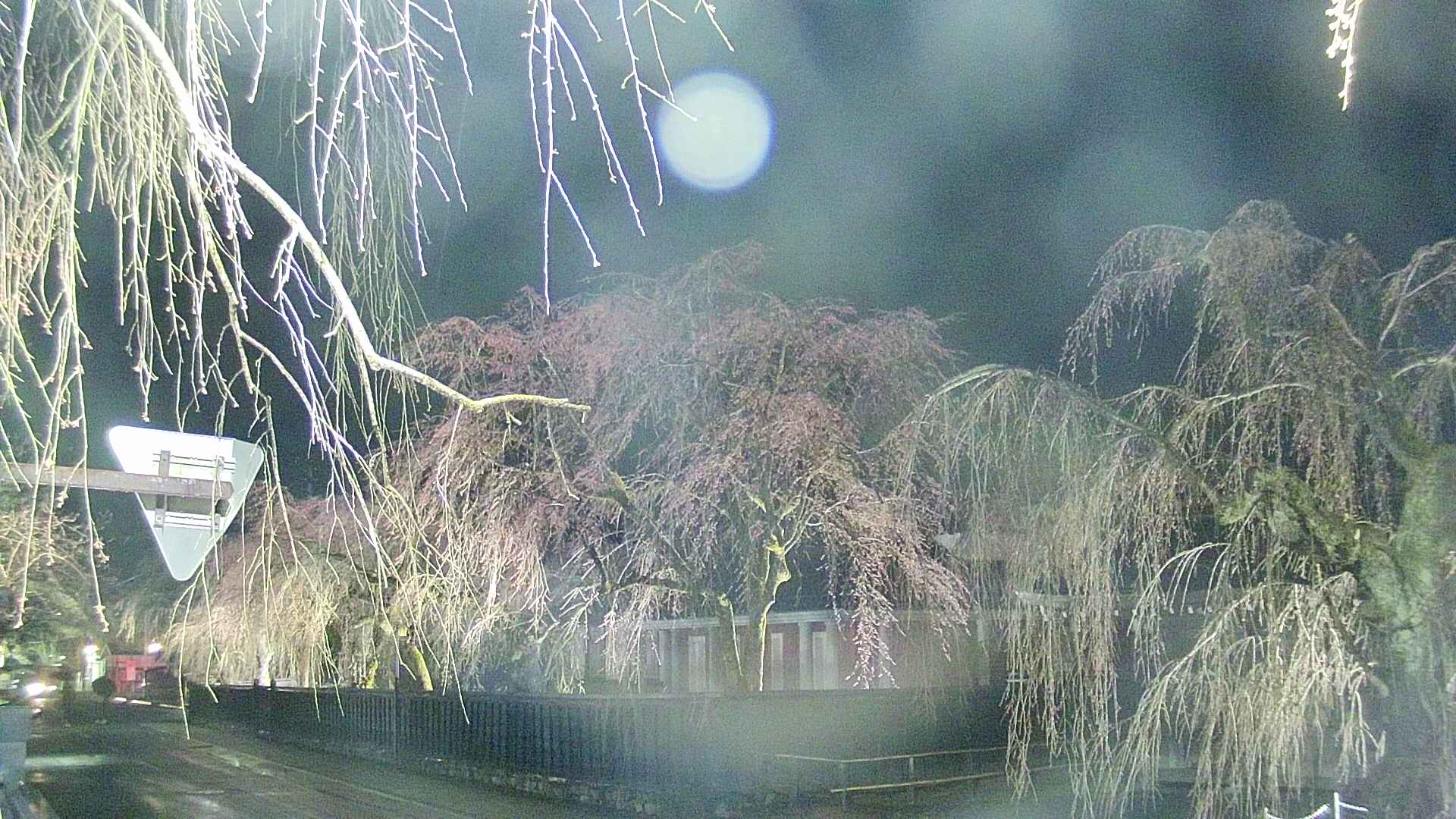 area1-20250417193015.jpg