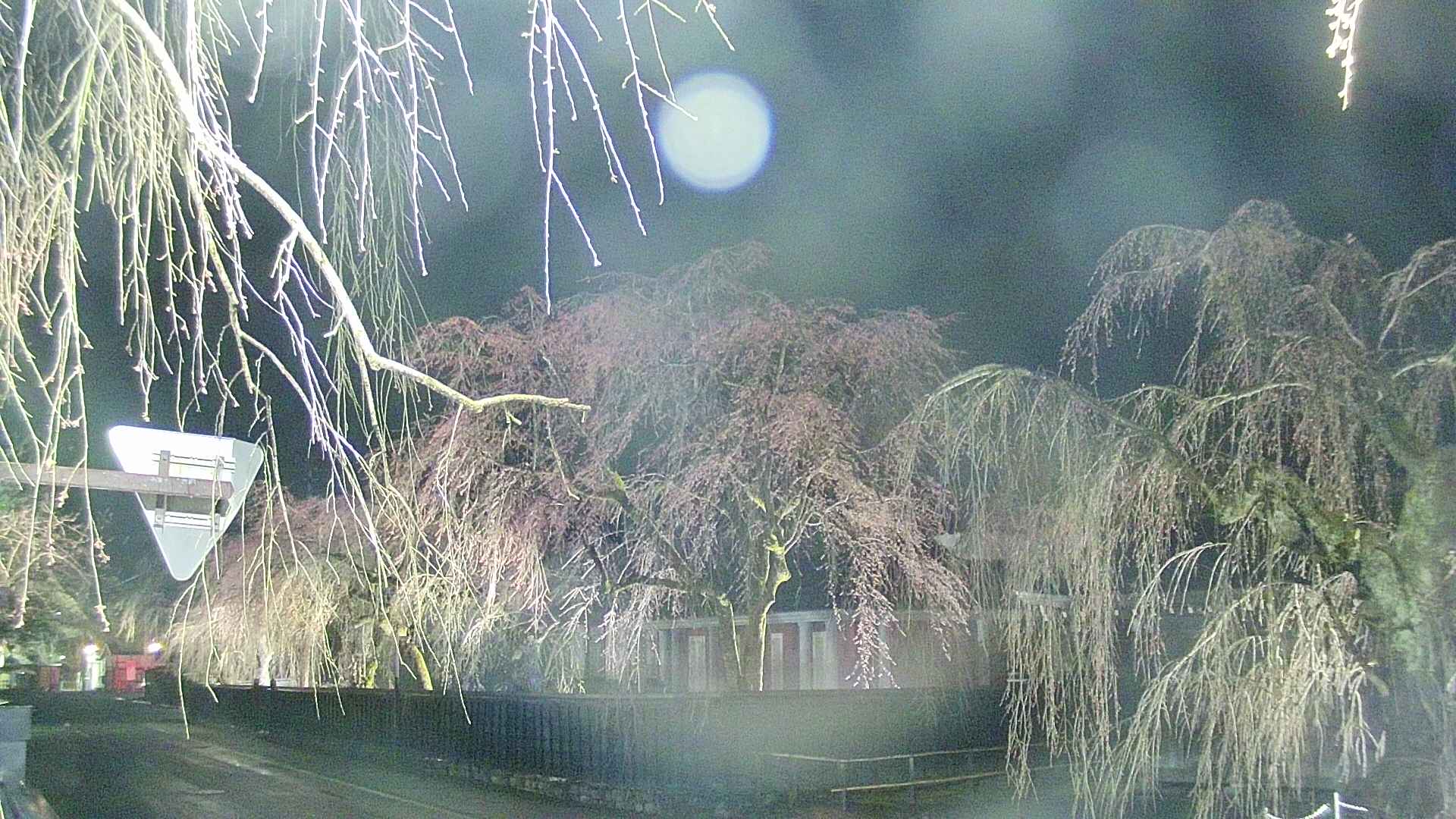area1-20250417211016.jpg