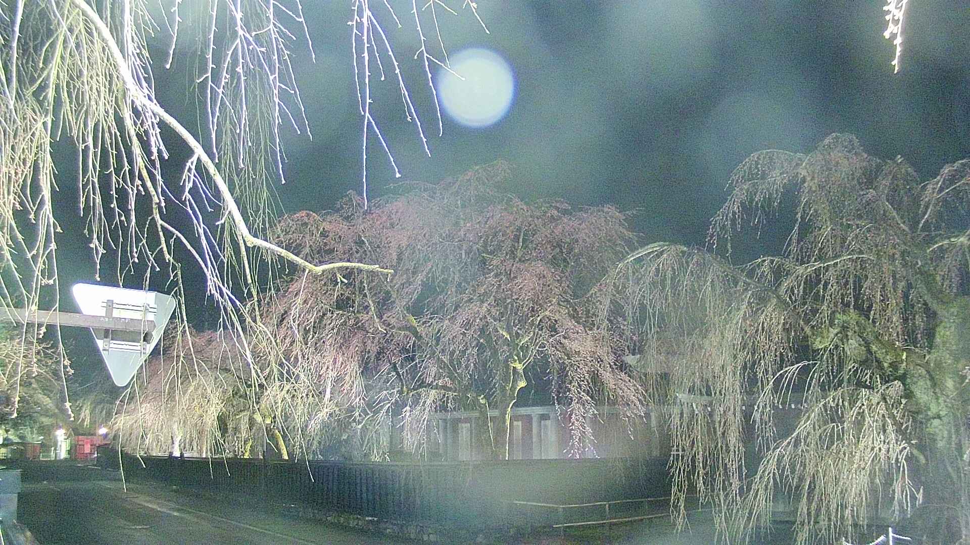 area1-20250417215015.jpg
