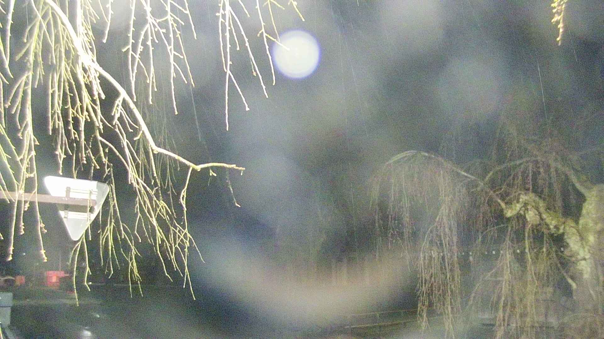 area1-20250418012016.jpg