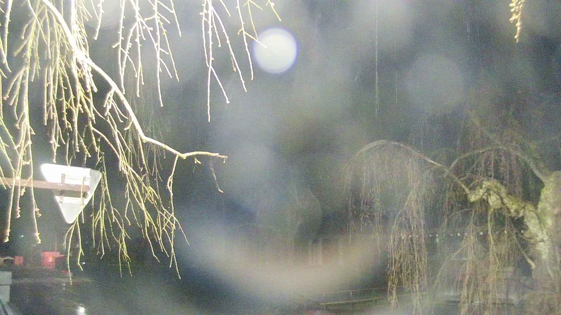 area1-20250418014015.jpg