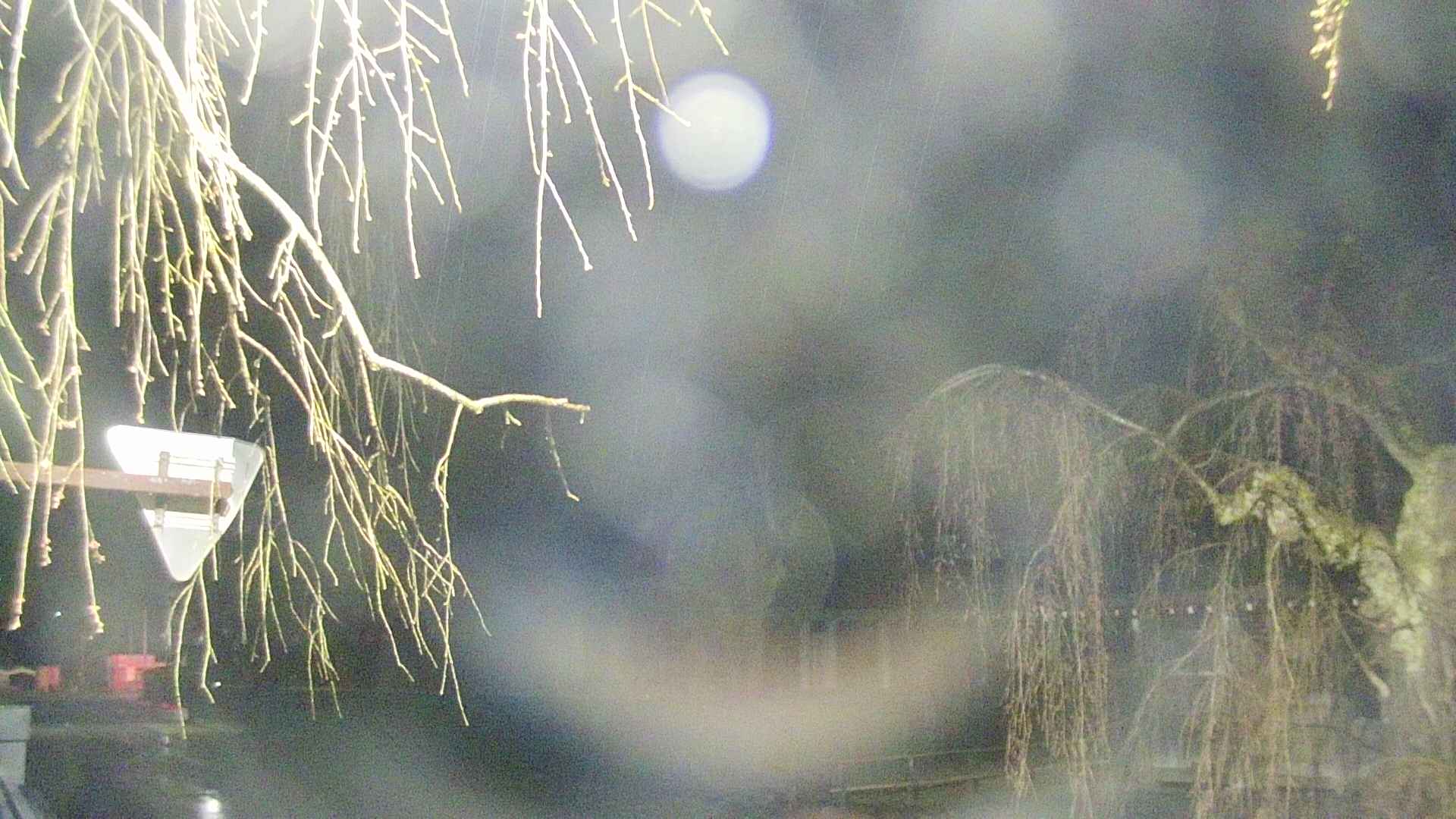 area1-20250418015016.jpg