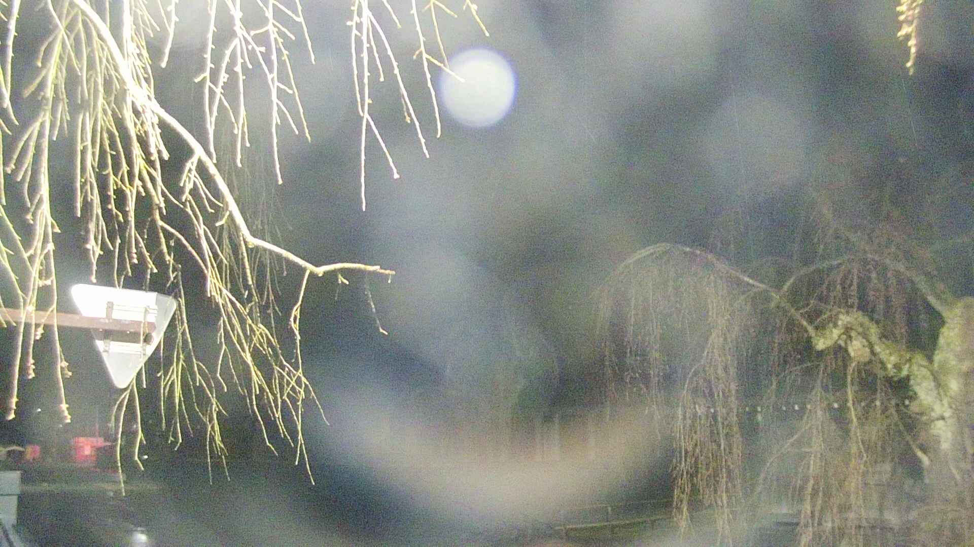 area1-20250418021014.jpg