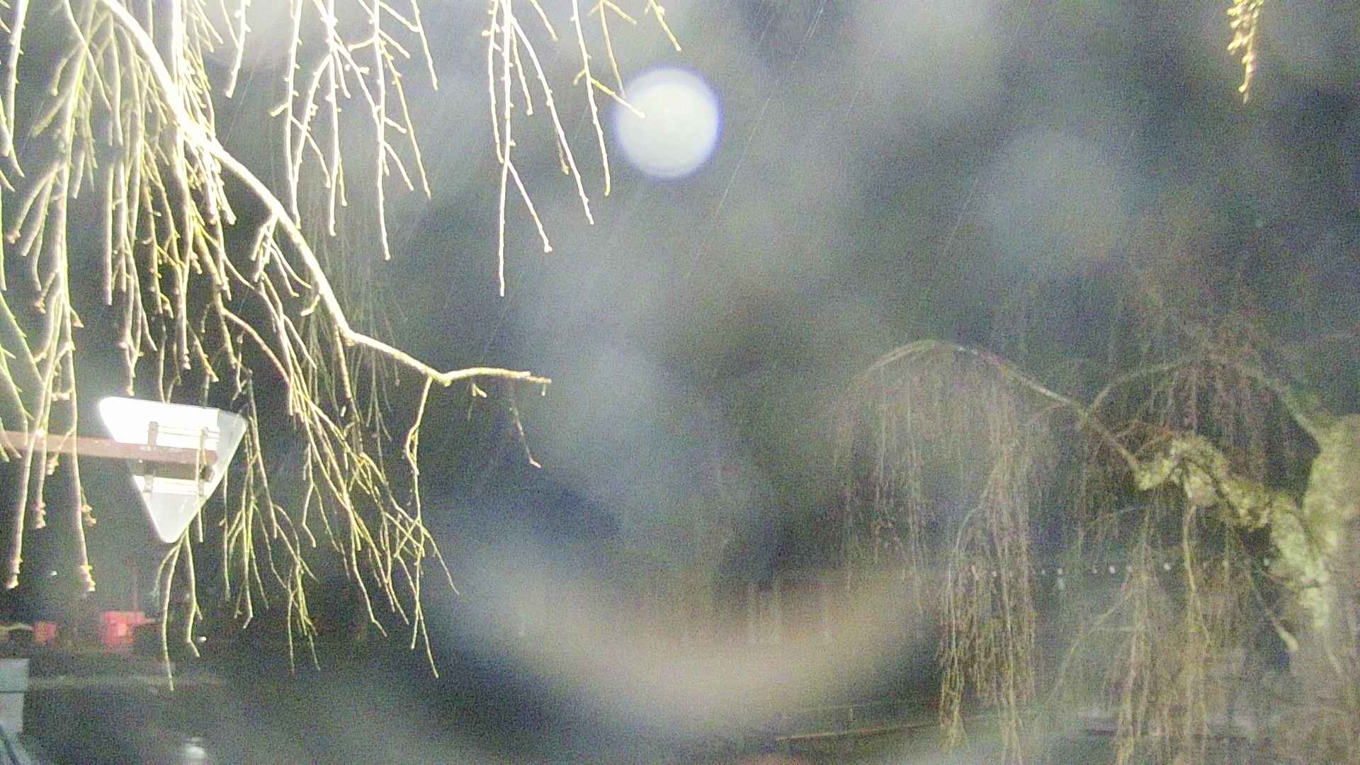 area1-20250418024015.jpg